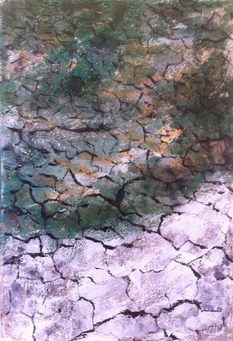 N° 1447 - Terre de sel - Acrylique sur papier - 54,5 x 37 cm - 27 mai 2014